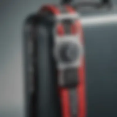 Locking Mechanism of TSA Approved Luggage Strap A close-up view of TSA approved luggage strap showcasing its locking mechanism.