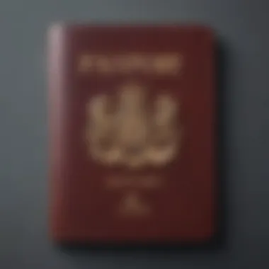 Stylish Passport Covers in Various Materials Stylish passport covers made from various materials